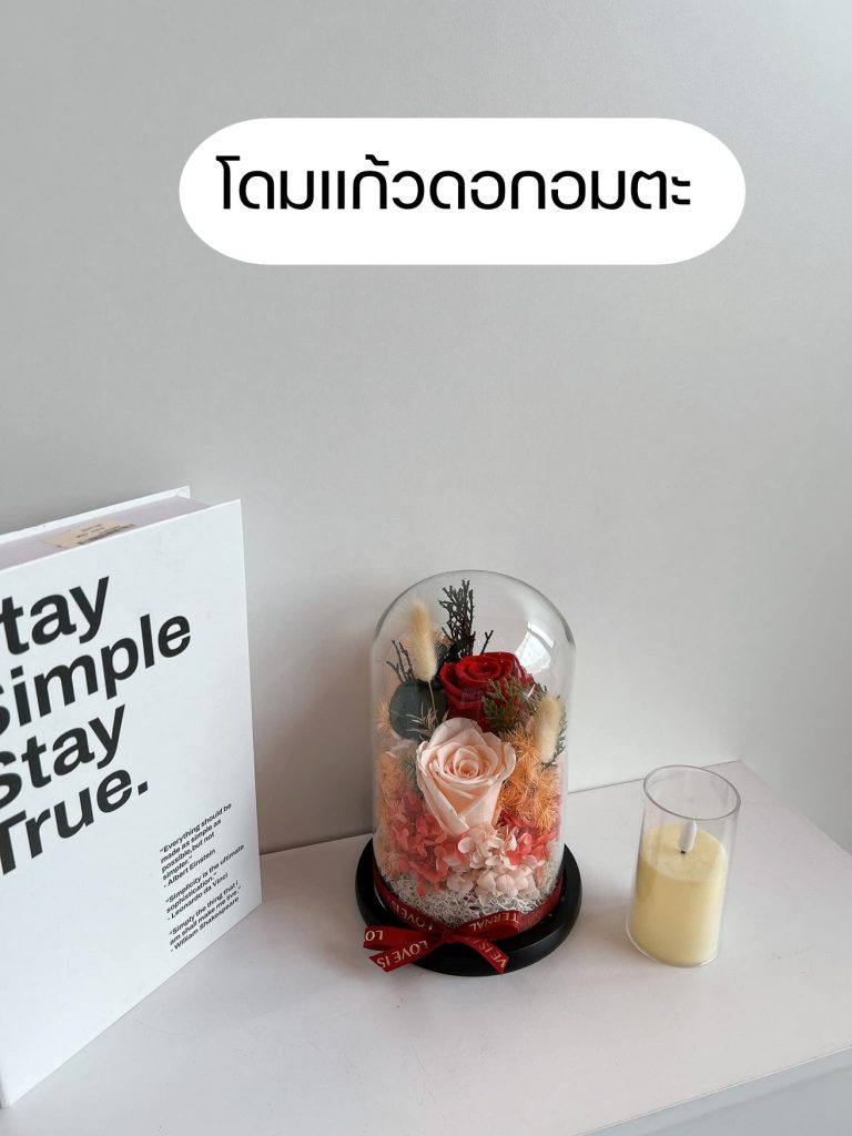 ดอกอมตะส่งฟรีทั่วประเทศ